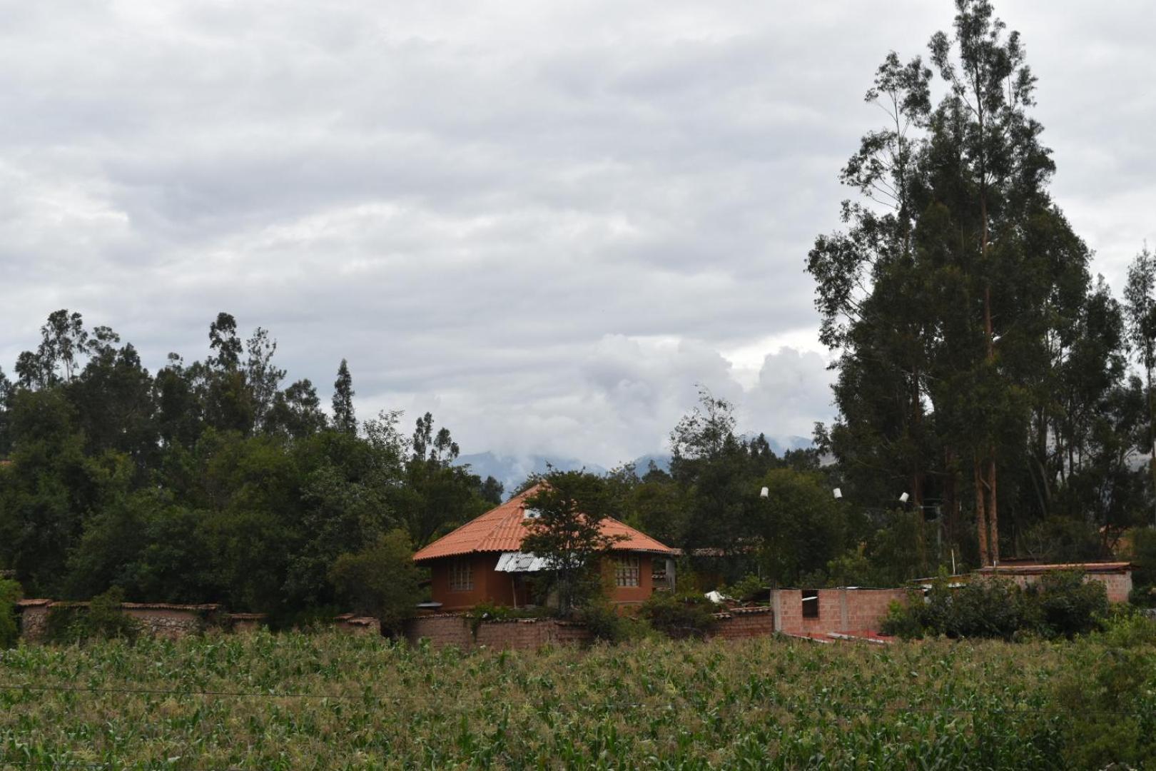 New Experiences Valle Sagrado Bed and Breakfast Urubamba Buitenkant foto